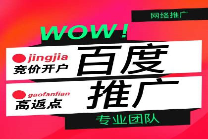 某行业SEM竞价策略的运营实践与效果